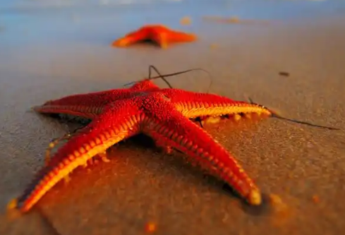 1768493791233899.png image.png