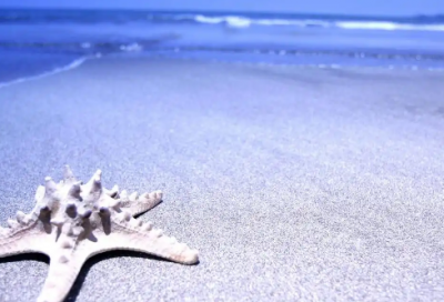 ​高考结束感慨句子