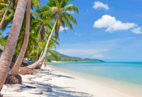 1768494620711032.png image.png