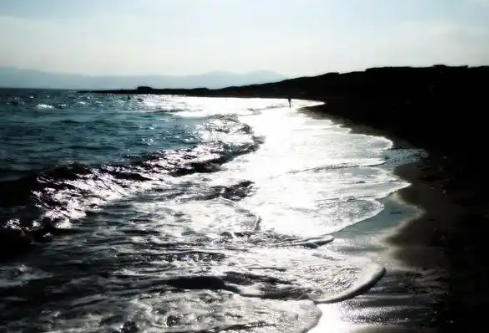 1768494786996069.png image.png