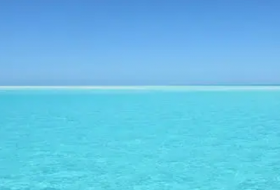 ​积极向上的句子或短语73句