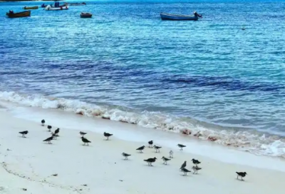 ​夜晚伤感孤独寂寞的心情句子