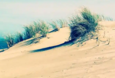 ​描述成功男人的句子27句