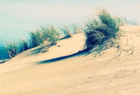 1768497937814937.png image.png