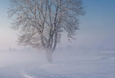 ​有内涵的句子 低调有内涵的句子