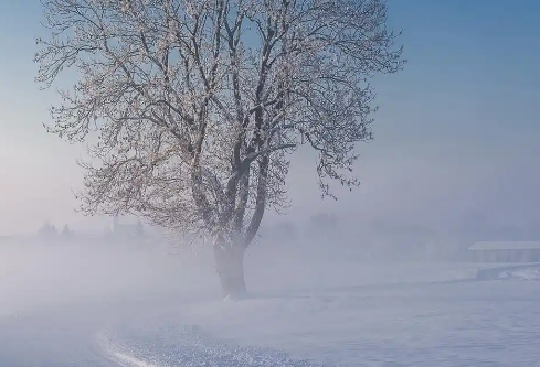 1768498435230729.png image.png