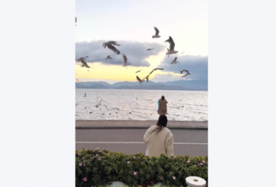 ​明天会更好的句子59句