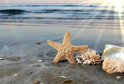 ​很短的伤感句子