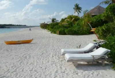 ​关于人生感悟的句子大全