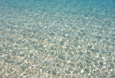 ​积极向上热爱生活的励志句子