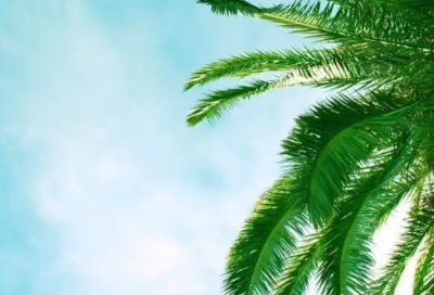 ​幽默高大上的逗比搞笑句子