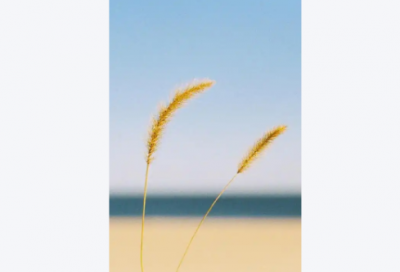 ​心情不好的小短句 心情不好的句子