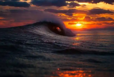 ​向日葵的阳光励志句子