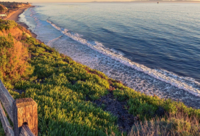 ​好听优美的微信句子