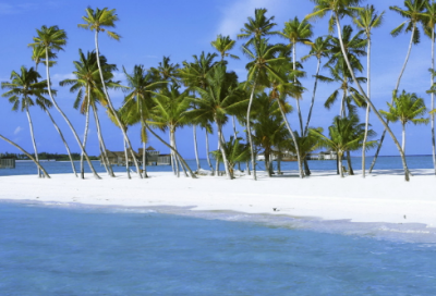 ​古文正能量句子