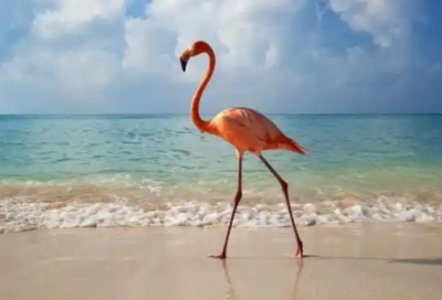 ​形容男装服装时尚个性句子