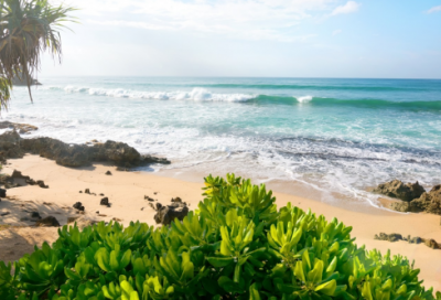 ​关于坚持的优美句子