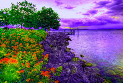 ​最新2026七夕节表白句子文案 适合表白的句子文案