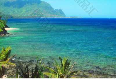 ​520表白的句子给男朋友