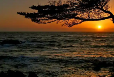 ​形容七夕的句子