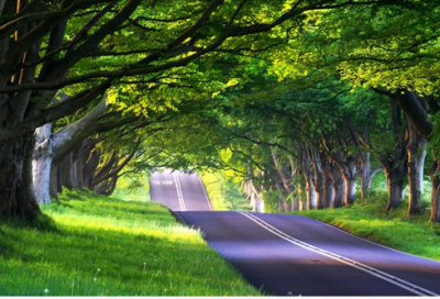 ​关于最新伤感古典句子