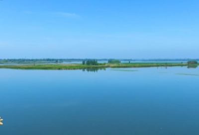 ​超火的句子简短一句话