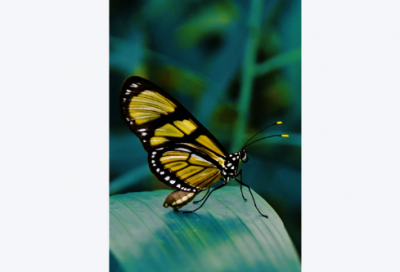 ​关于春天的句子摘抄 关于春天的句子摘抄15字