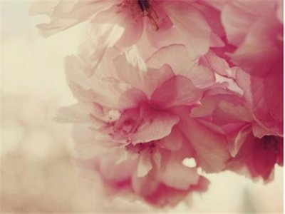 ​情侣个性签名情侣专用